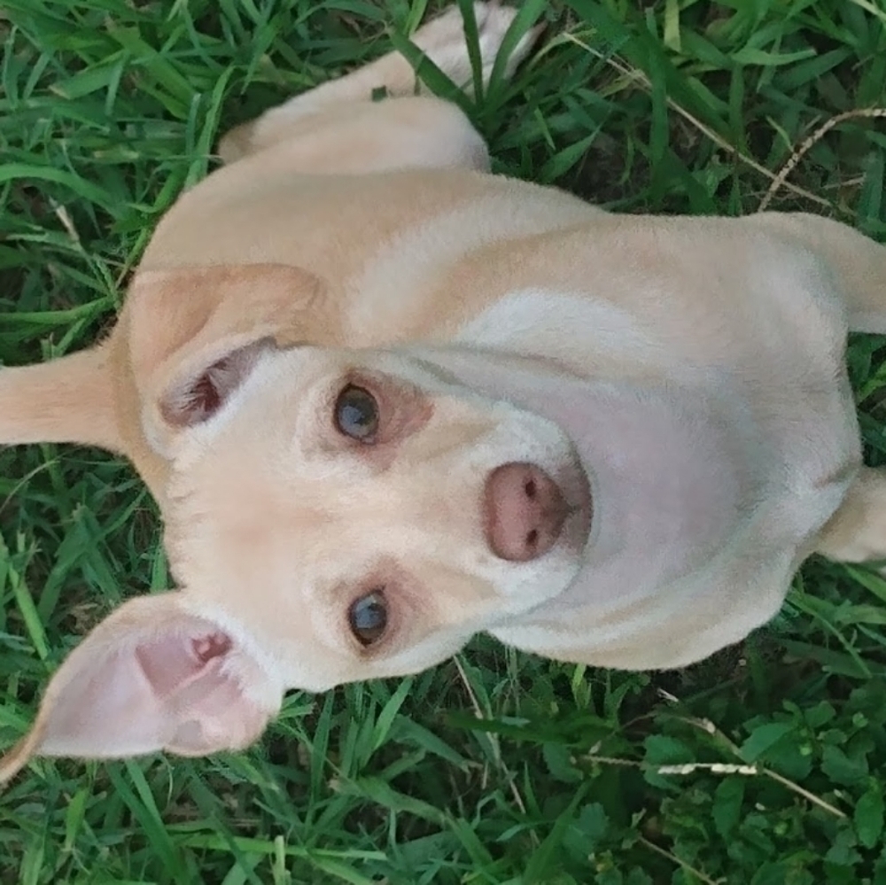 Meet your Posher, Ronda